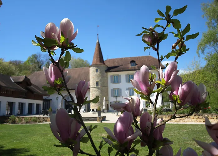 Château Salavaux Hotel 3*