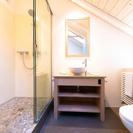Romantik Chateau Salavaux 3* Vully-les-Lacs