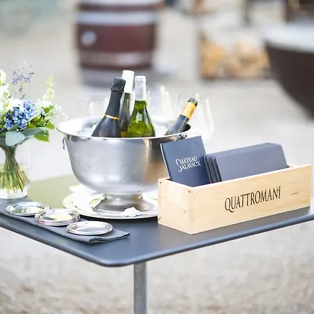 Ξενοδοχείο Chateau Salavaux Vully-les-Lacs