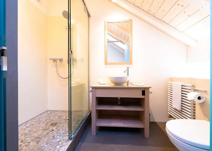 Chateau Salavaux 3* Vully-les-Lacs