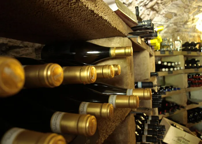 Отель Chateau Salavaux Vully-les-Lacs