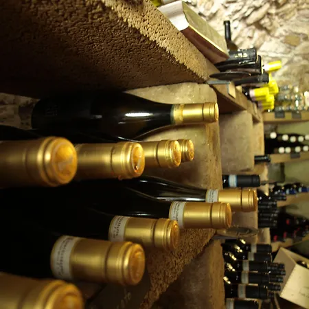 Hotel Chateau Salavaux Vully-les-Lacs