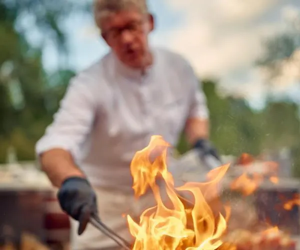 Chateau Salavaux فندق